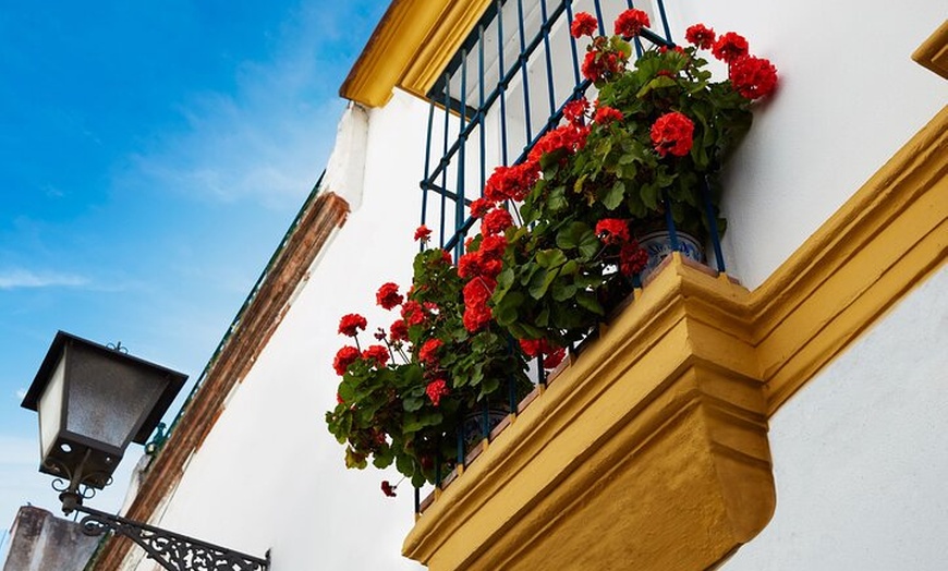 Image 5: Visita guiada de 7 días en Sevilla, Granada y Barcelona desde Madrid