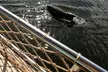Tiki Boat Tour in Vero Beach - Second Medium