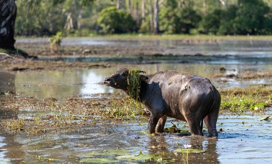 Image 3: 2 Day Kakadu Highlights Tour