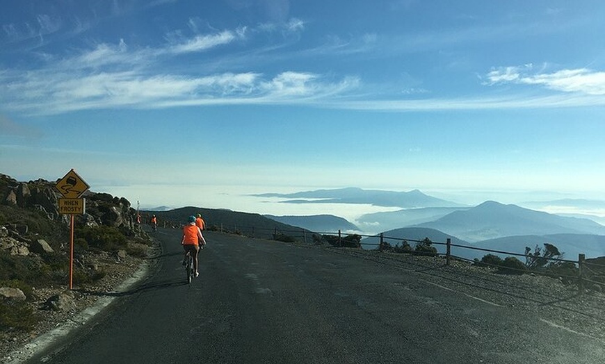 Image 6: Easy Bike Tour - Mt Wellington Summit Descent & Rainforest Ride