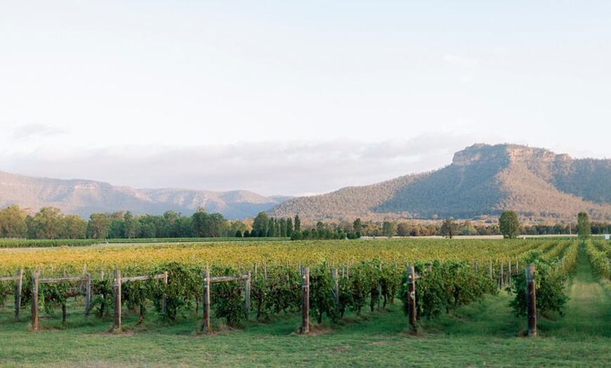 Image 12: Sydney to Hunter Valley Wine Tour | Gin, Lunch, Chocolatier Visit