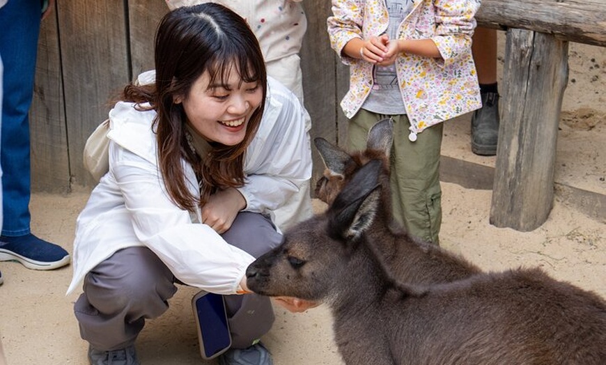 Image 11: Blue Mountains Day Tour: Zoo, Scenic World & Three Sisters