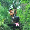 Image 6: ATV Zipline and Cenote Adventure in Puerto Morelos