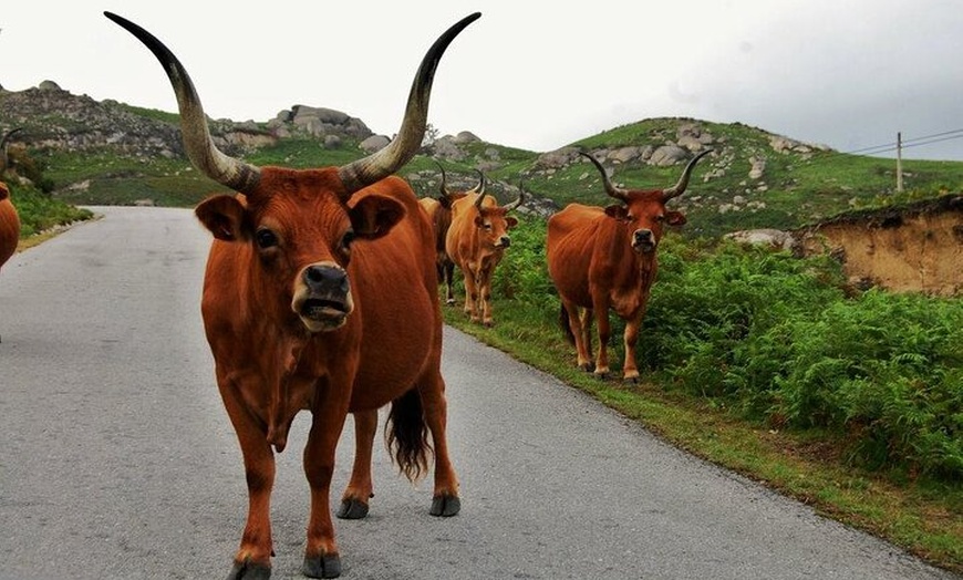 Image 3: Portugal 9 - Viaje Autoguiado 4WD (desde Madrid)