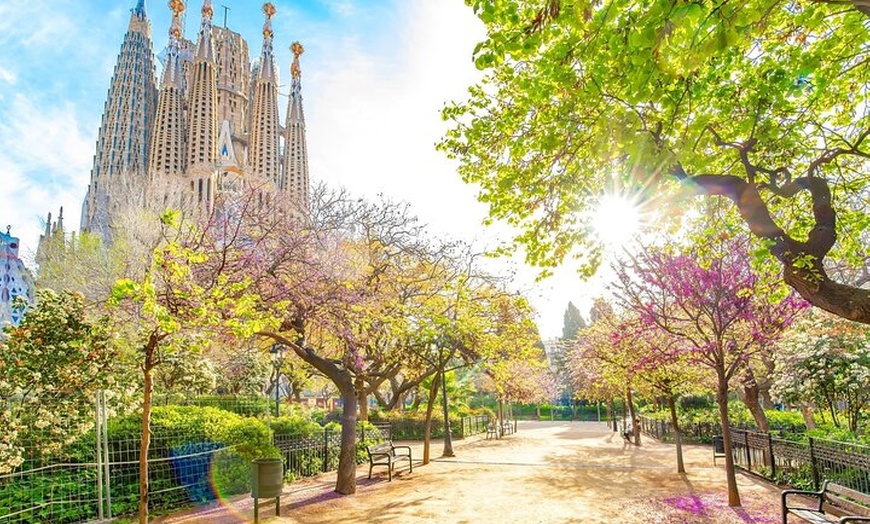 Image 9: Recogida en el aeropuerto privado y tour panorámico por Barcelona