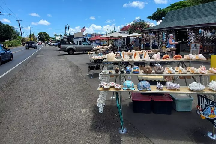 Round Trip North Shore Shuttle from Waikiki to Haleiwa Town / Halei...