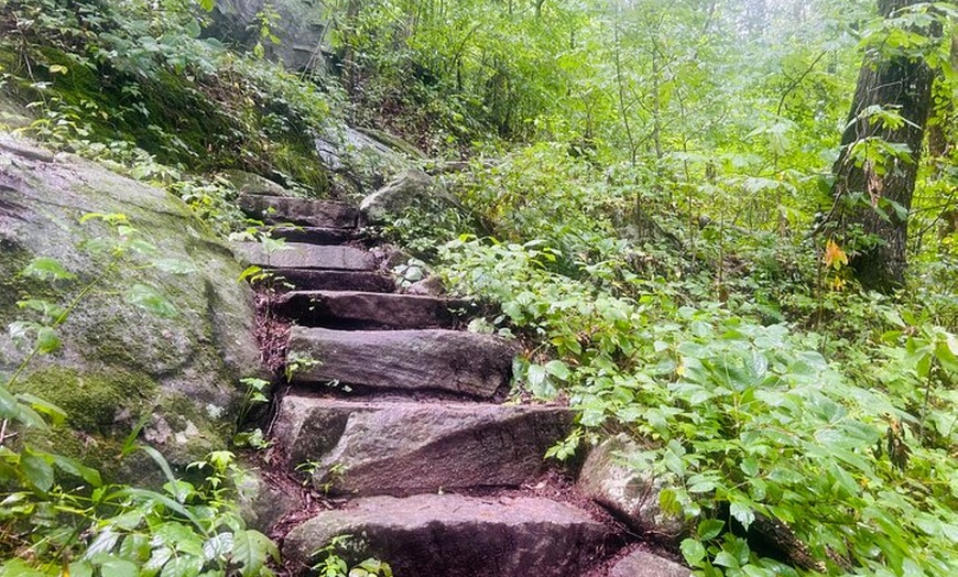 Image 16: Yonah Mountain Hike Private Tour in Georgia