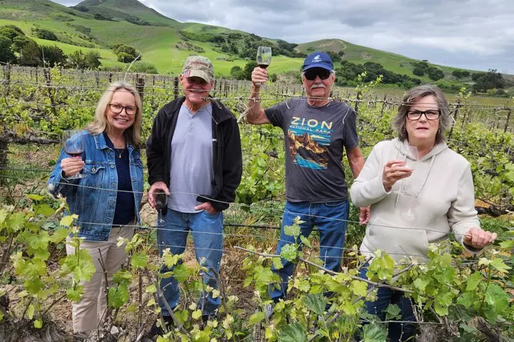 Solvang Santa Ynez Valley Small Group All-Inclusive Wine Tour