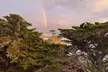 Monterey's 17 Mile Drive Guided Electric Bike Tour, 3 hr - Second Medium