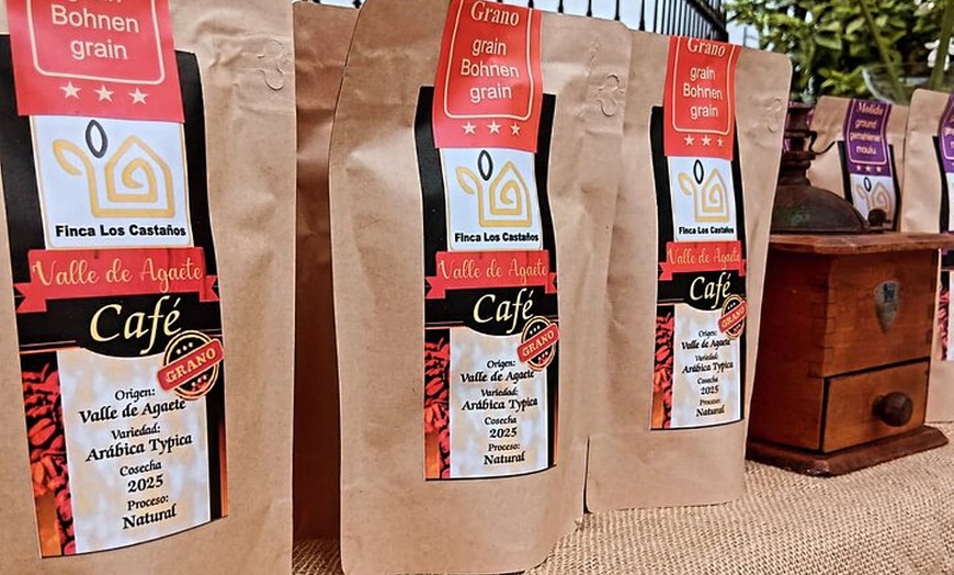Image 18: Explora el Café de Gran Canaria en Finca Los Castaños