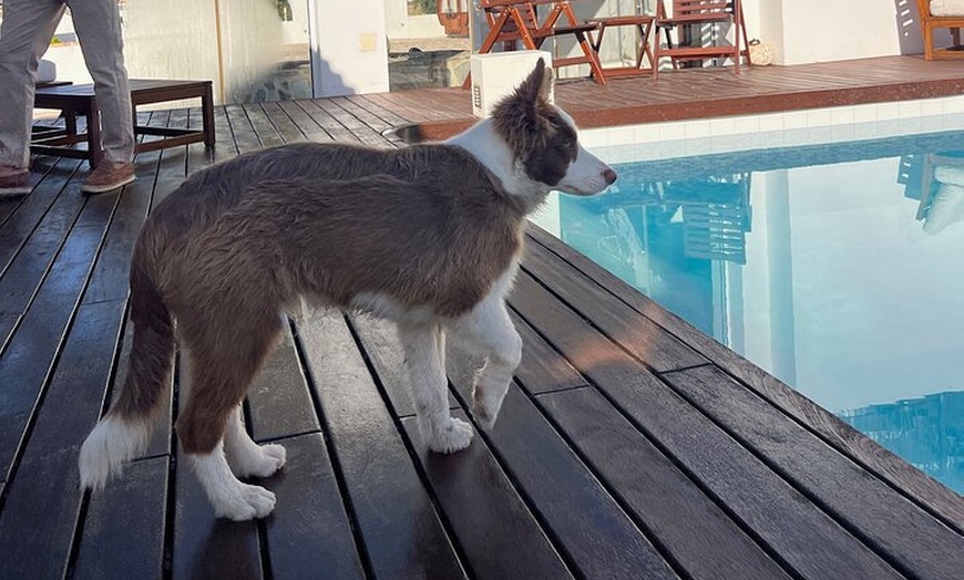 Image 14: Alicante : Catas de Vinos & Tapas Privadas en 2 Bodegas Boutique