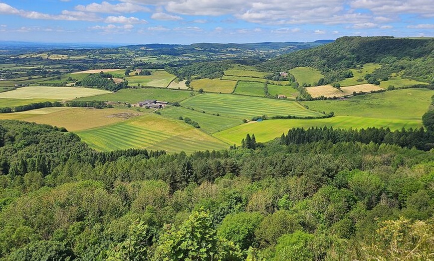 Image 9: North York Moors Private Tour day trip to Whitby & Villages