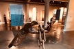 Whitney Plantation Tour with Transportation from New Orleans - Second Medium