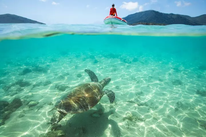 Full-Day Whitsunday Sail and Snorkel Adventure with Lunch