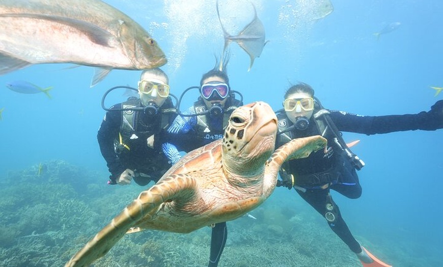 Image 5: Reef Tour with SCUBA Dive from Cairns, pontoon with activities