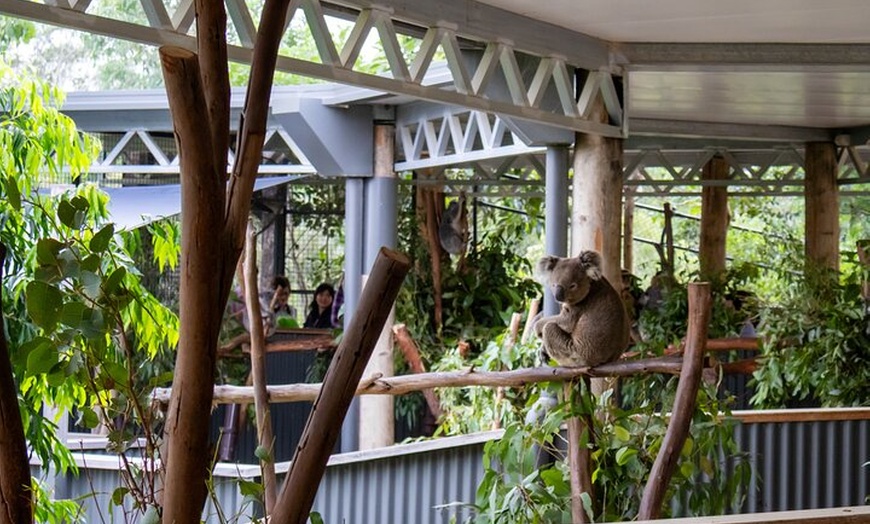 Image 10: Blue Mountains Day Tour: Zoo, Scenic World & Three Sisters
