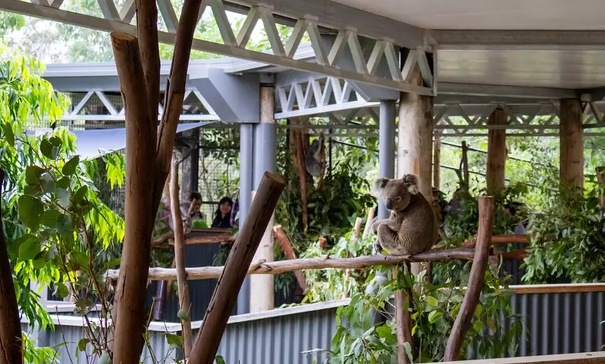 Image 9: Blue Mountains, Sydney Zoo & Scenic World Tour from Sydney