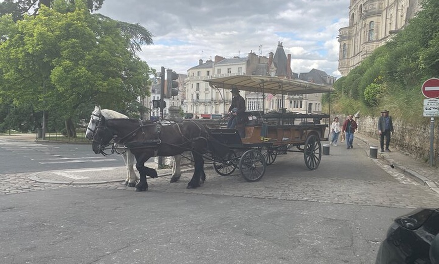 Image 3: Excursion d'une journée aux châteaux de Loire – Privé et personnali...