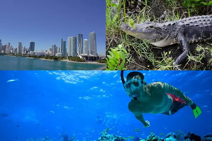 3-Day Florida: Miami Bus & Boat, Everglades & Key West Snorkeling