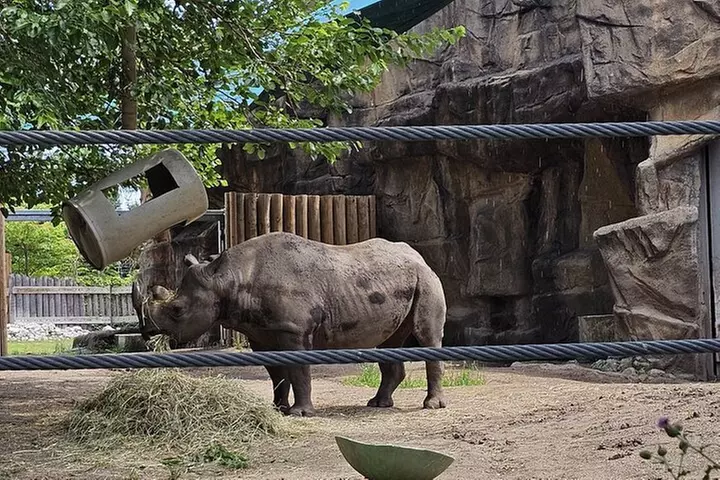 Lincoln Park Nature Museum and Zoo Public Walking Tour