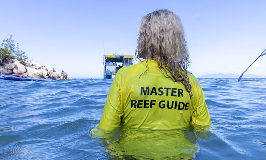 Image 22: Aquascene Magnetic Island Discovery Tour