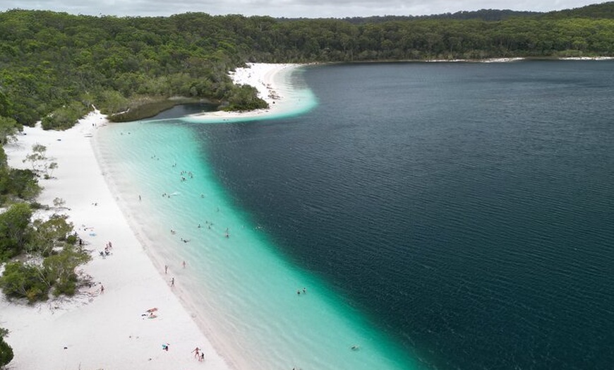 Image 21: Dingos 3 Day K'Gari (Fraser Island) ​4WD Tag-Along Tour