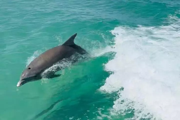 Explore the waters of Anna Maria Island on a private 3hr charter