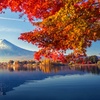 Image 5: ✈ GIAPPONE | Da Tokyo a Osaka - Paradiso Giapponese: Tokyo, Kyoto, ...