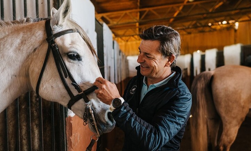 Image 15: Paseos a caballo por el Parque Nacional de Doñana