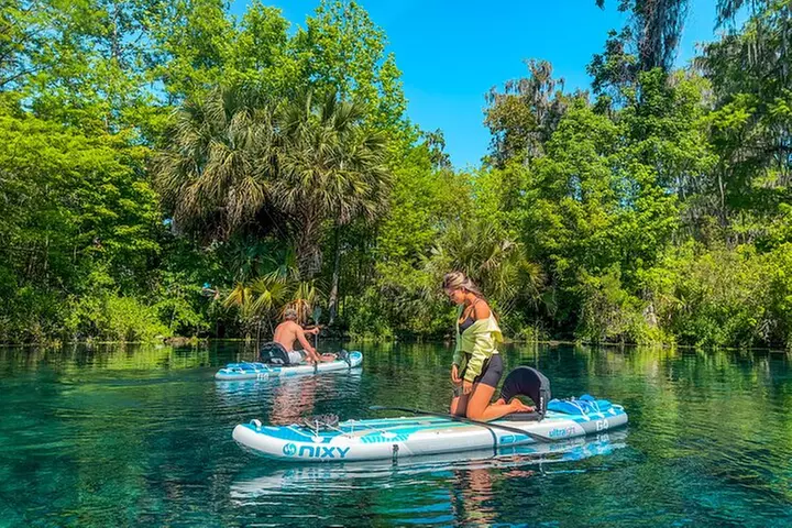 Silver Springs Manatee & Monkeys Paddle Board Tour