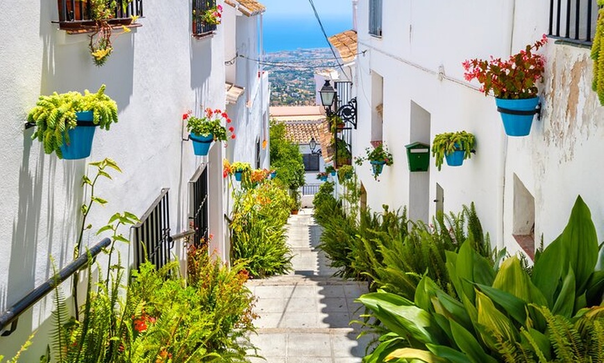 Image 11: Málaga con Catamarán y Mijas pueblo desde Estepona y Marbella