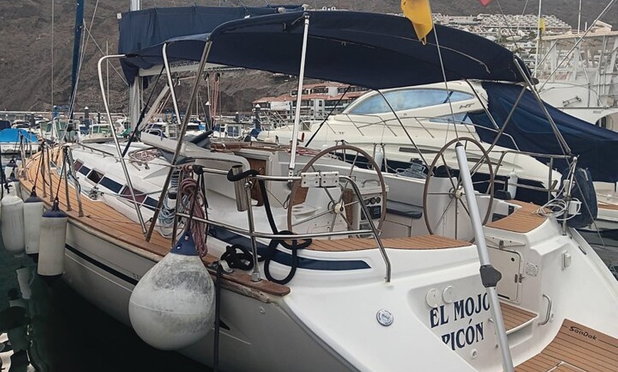 Image 5: Excursión en velero de Delfines y Ballenas en Los Gigantes