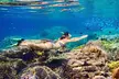 Bahamas Island Private Hopping Adventure - Second Medium