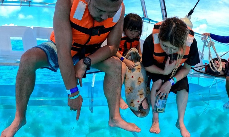 Image 9: Isla Mujeres Clear Boat Ride + Free Photo at Reef & Marine Life