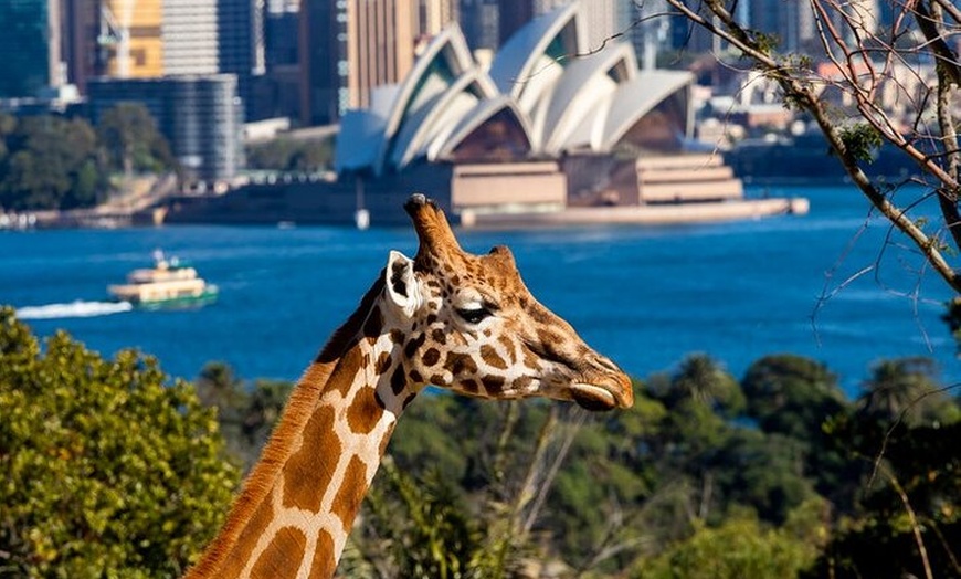 Image 1: Sydney Taronga Zoo General Entry Ticket