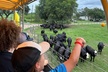4x4 Adventure: Citrus & Ranch Safari - Second Medium