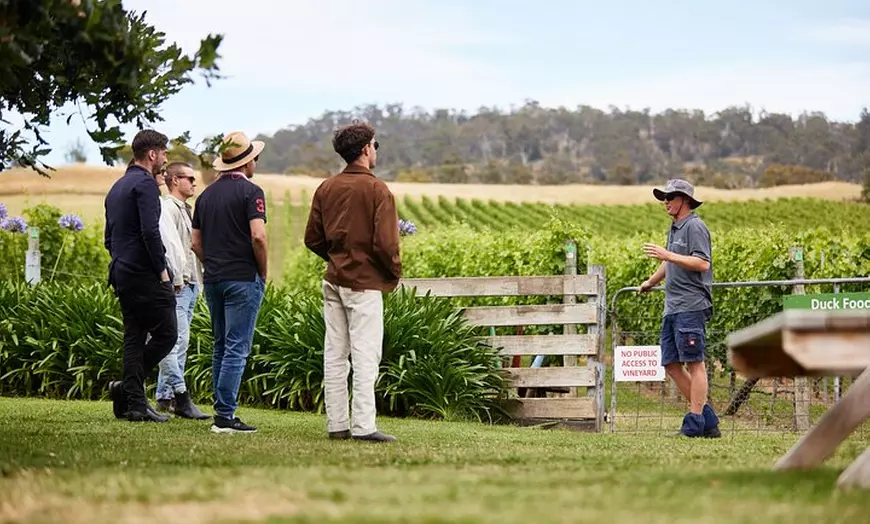 Image 7: Signature Saturday Wine Tour