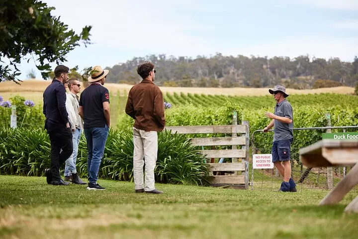 Signature Saturday Wine Tour - Image 7