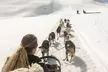 Dog Sledding & Animal Adventures – Anchorage Pickup - Second Medium