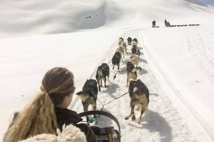 Dog Sledding & Animal Adventures – Anchorage Pickup