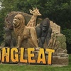 Image 1: Private Full Day Tour to Longleat Safari Park and Historic Bath