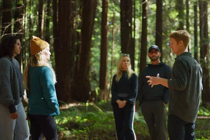 Redwoods Forest Bathing - Primary Image