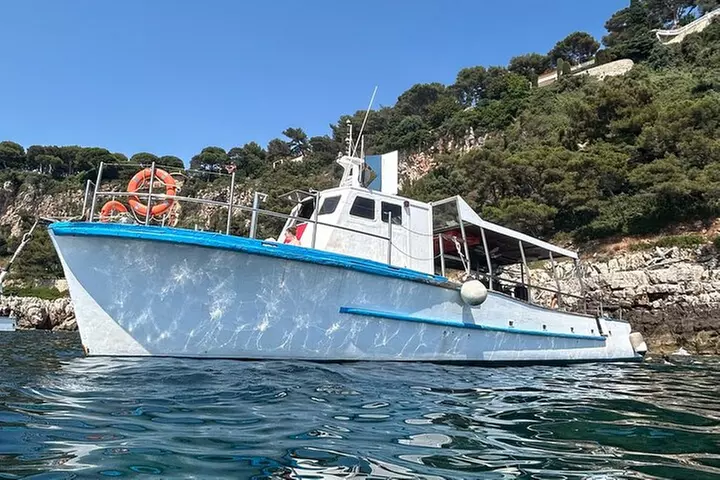 Excursion de plongée en apnée dans la baie de Villefranche sur la C...