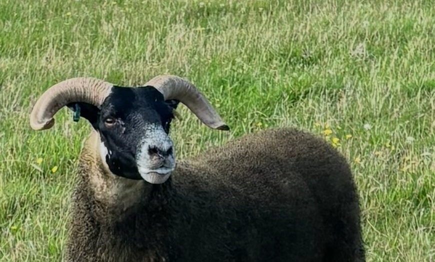Image 5: loch ness, Culloden, Clava and Urquhart Castle from Inverness