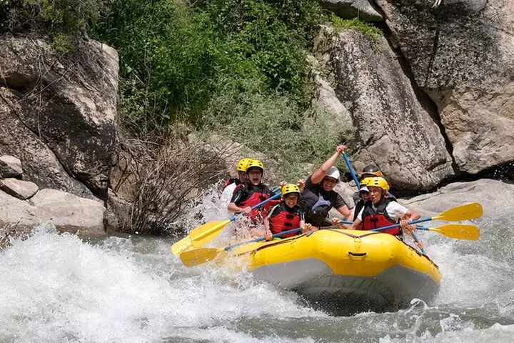 Whitewater Rafting the Salmon River - Full Day
