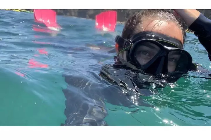 Snorkeling Adventure in La Jolla