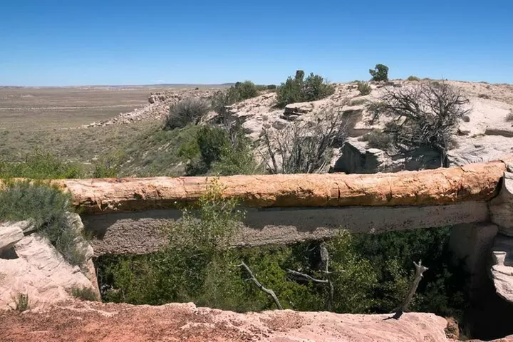 Petrified Forest National Park Self-Guided Driving Audio Tour