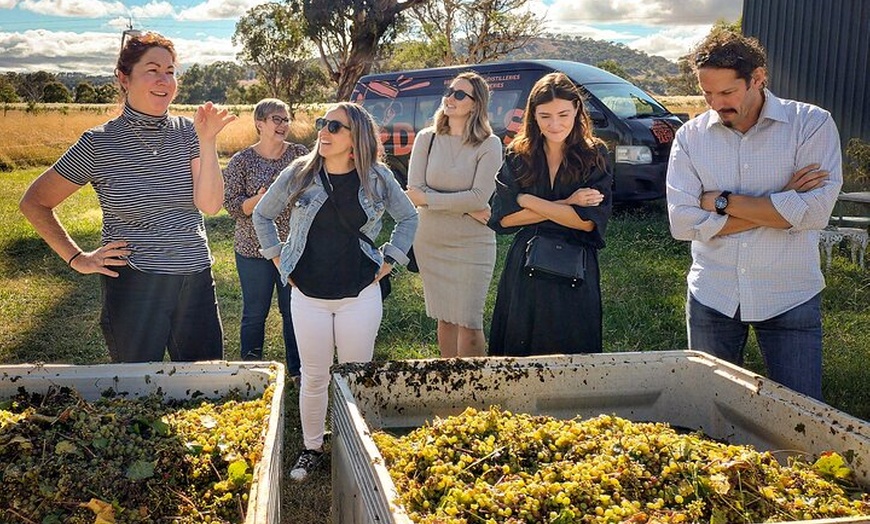 Image 1: Sydney Grains and Grapes Hunter Valley Wine and Beer with Lunch