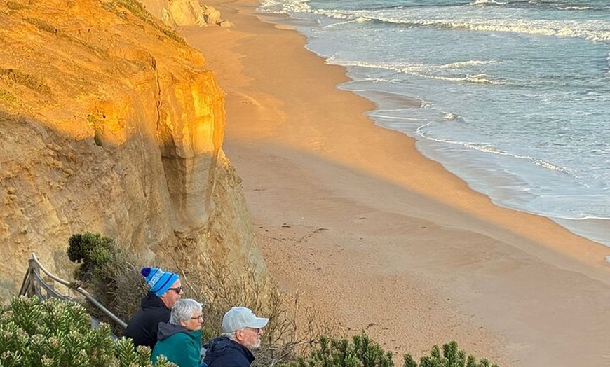 Image 13: Great Ocean Road Small Group Tour with Dingos, Sparkling & Lunch