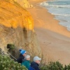 Image 13: Great Ocean Road Small Group Tour with Dingos, Sparkling & Lunch